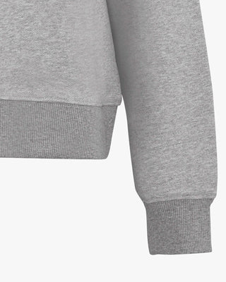 FLC Lifestyle Hoodie (Grey)
